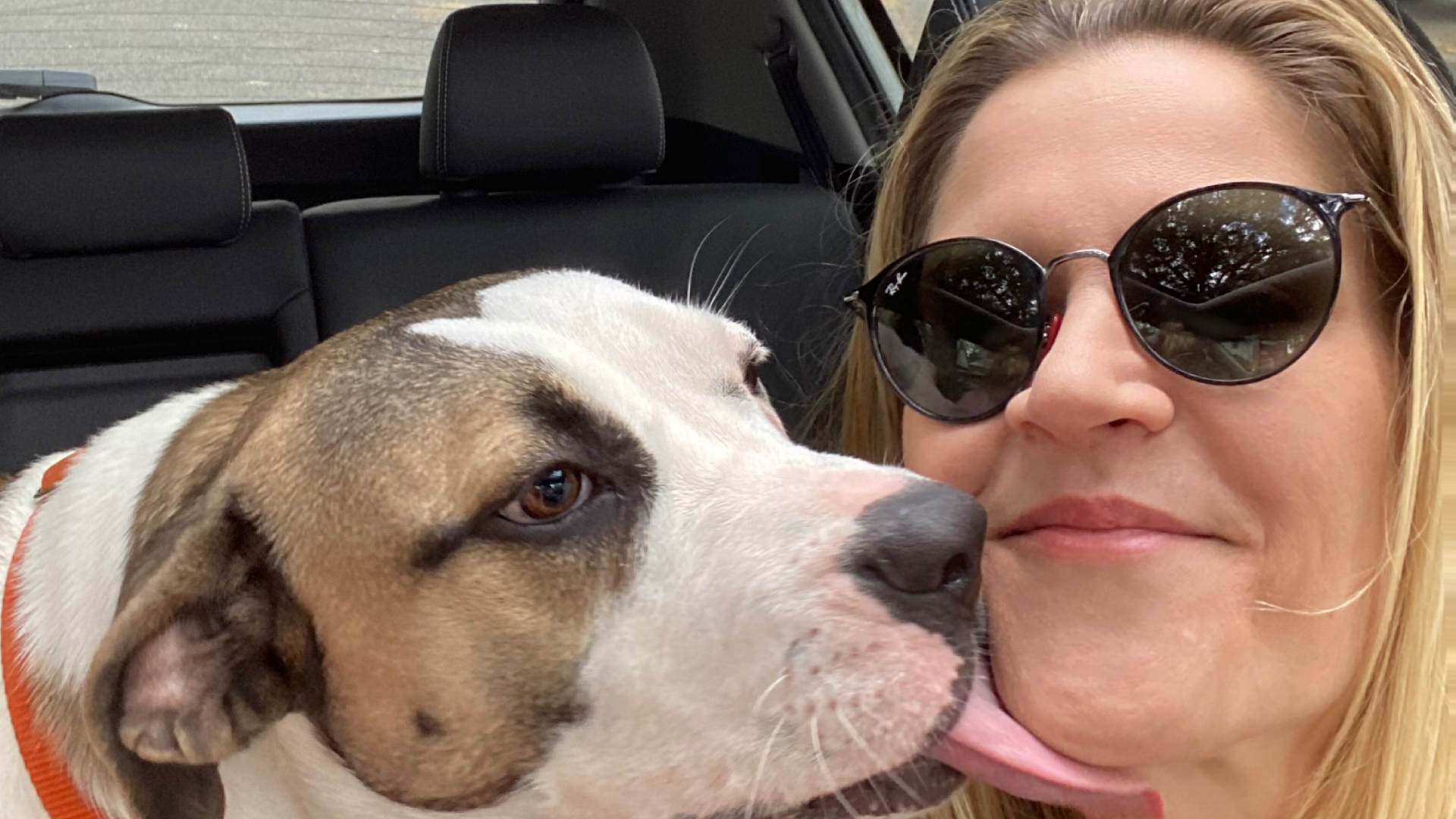 Monica from Cabin Companions smiling as a dog licks her face inside a car, showing the love and personal care pets receive during travel.