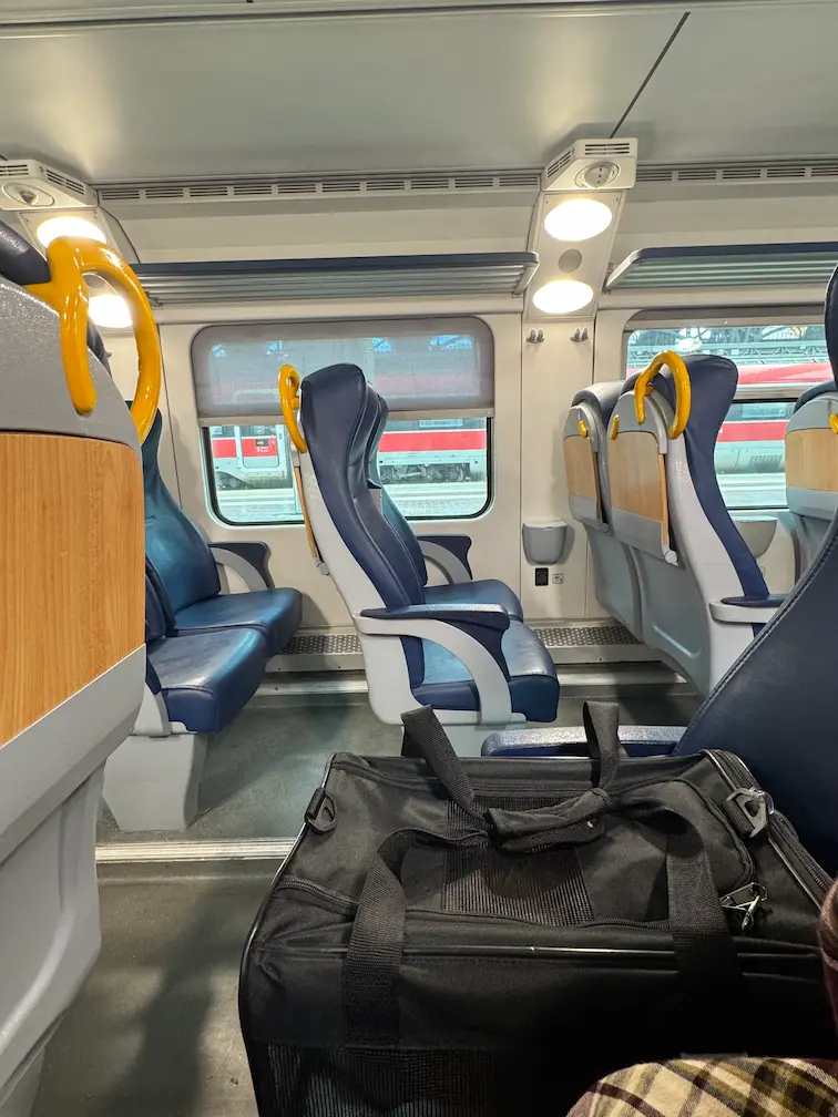 Tontish the cat on a train in Italy on an international journey with Cabin Companions