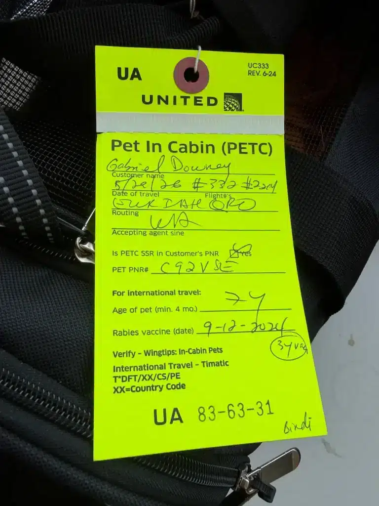 Green pet travel tag from United Airlines on the cat carrier with Cabin Companions Pet Travel