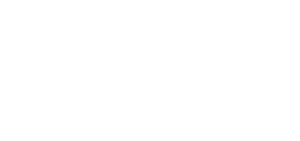 Cabin Companions Pet Travel
