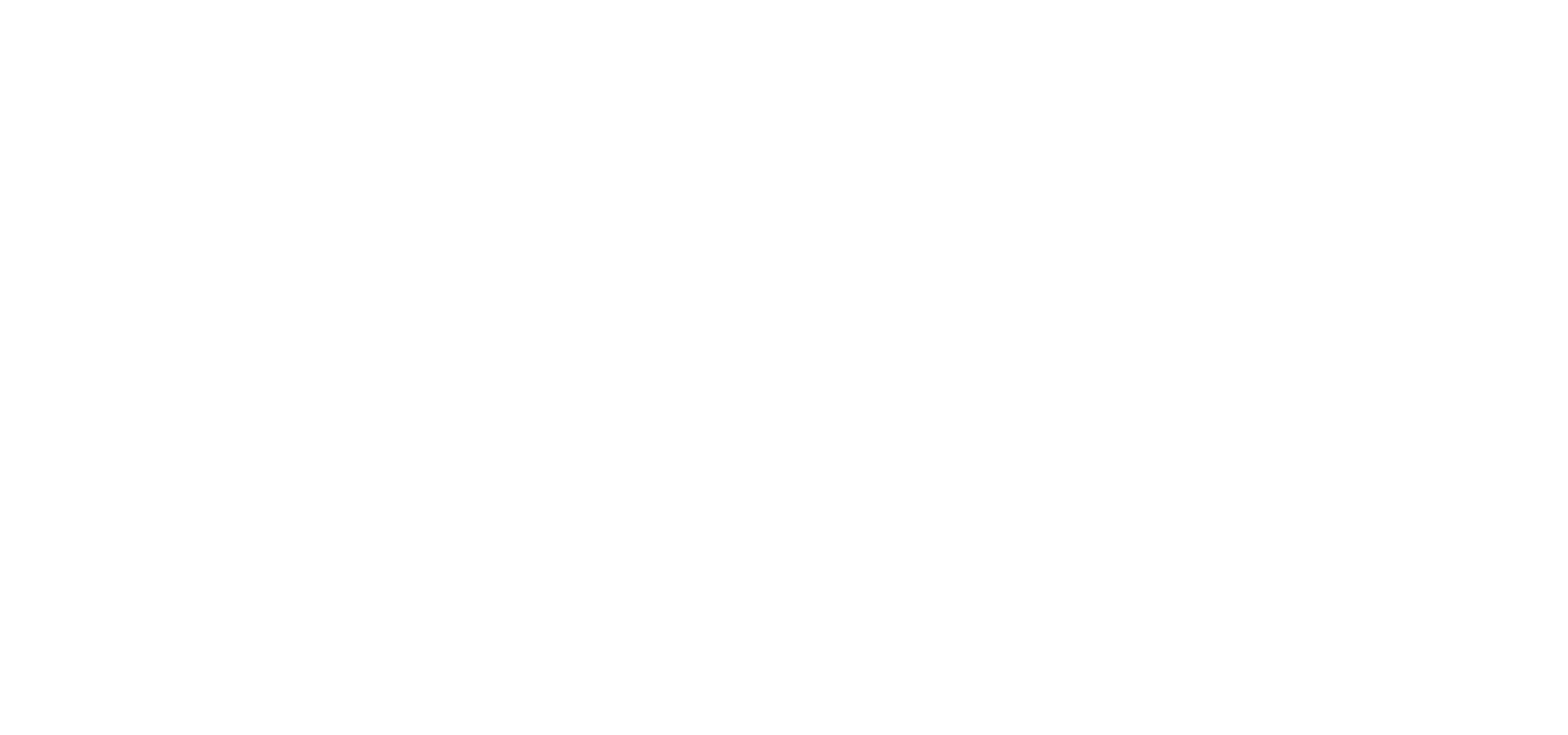 Cabin Companions Pet Travel