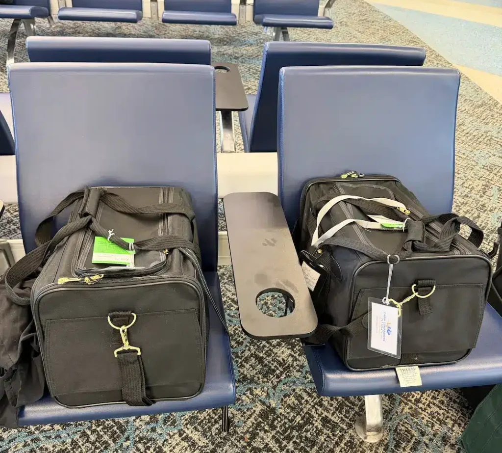 Jack and Diane secure in their carriers about to board a flight from Florida to Atlanta and then to Pennsylvania