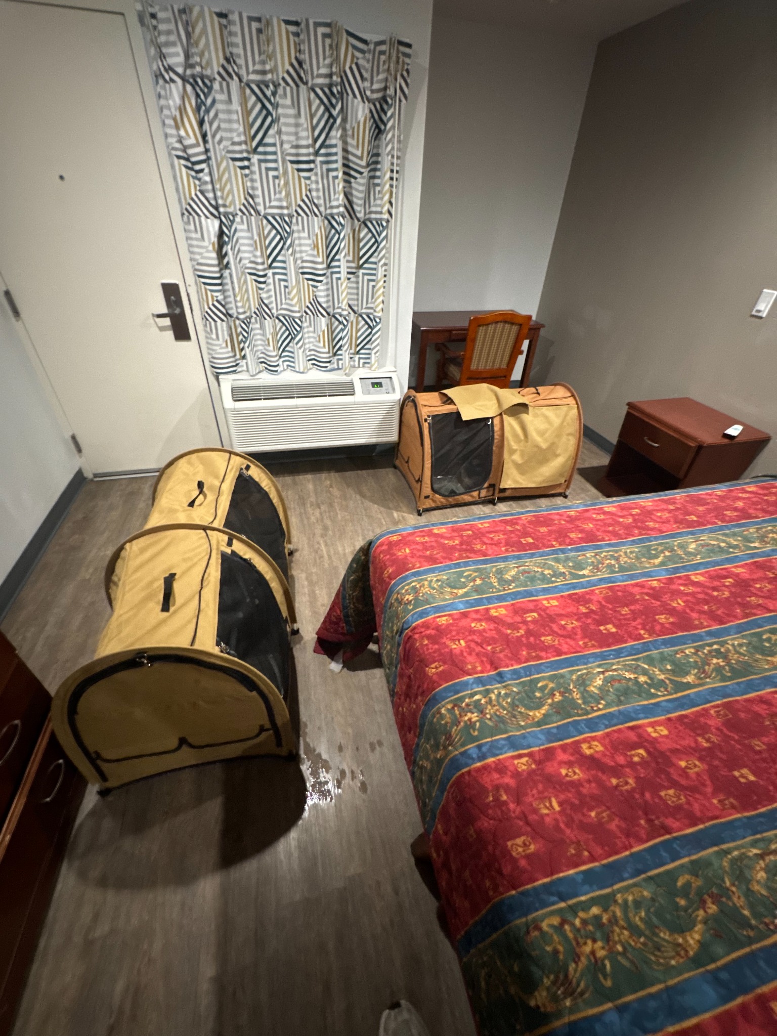 Hotel room arranged with secure travel enclosures during a five-cat private ground journey from Fresno to Nashville