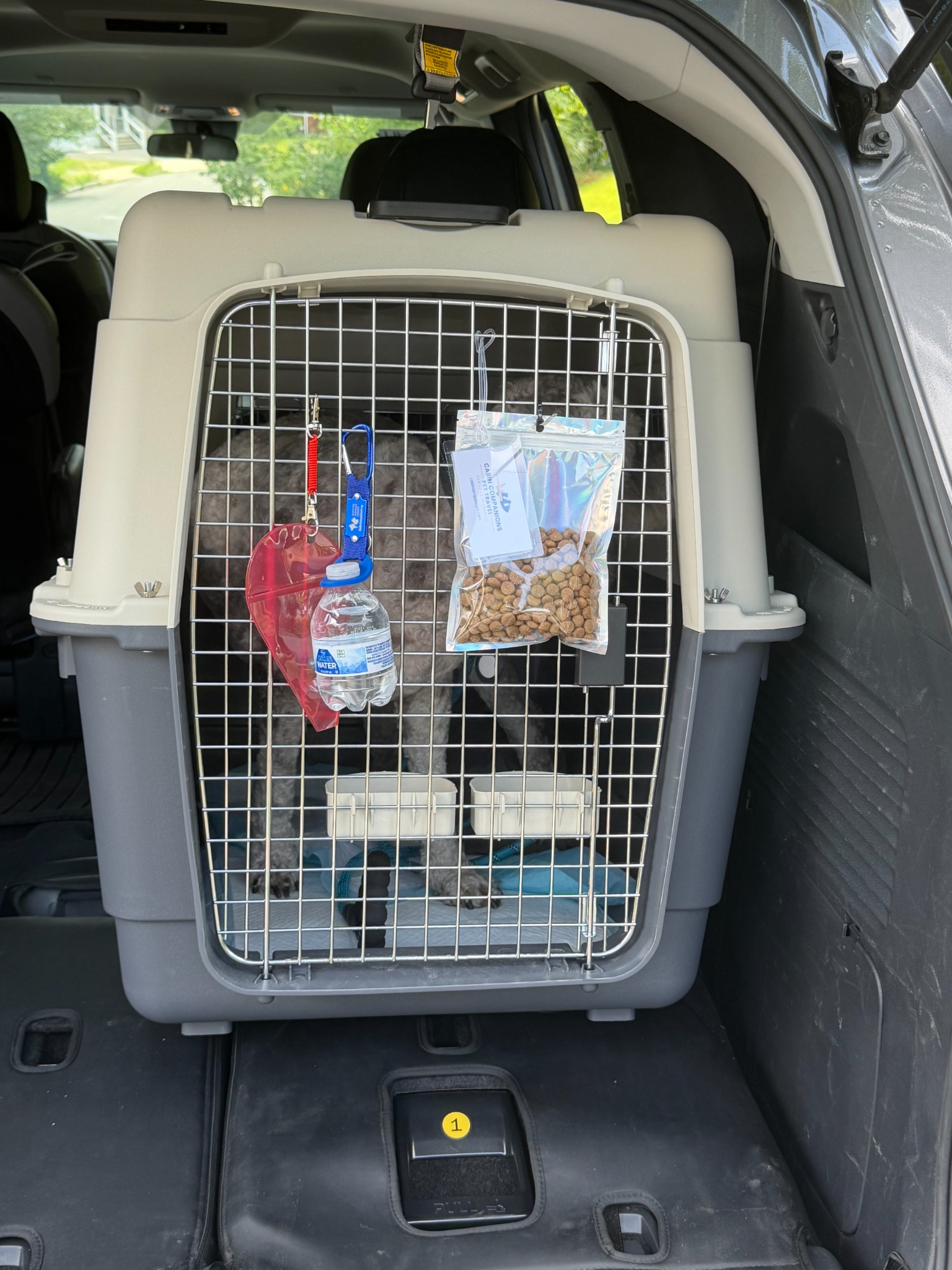 Teddy's airline crate prepared with identification, water, food and journey supplies