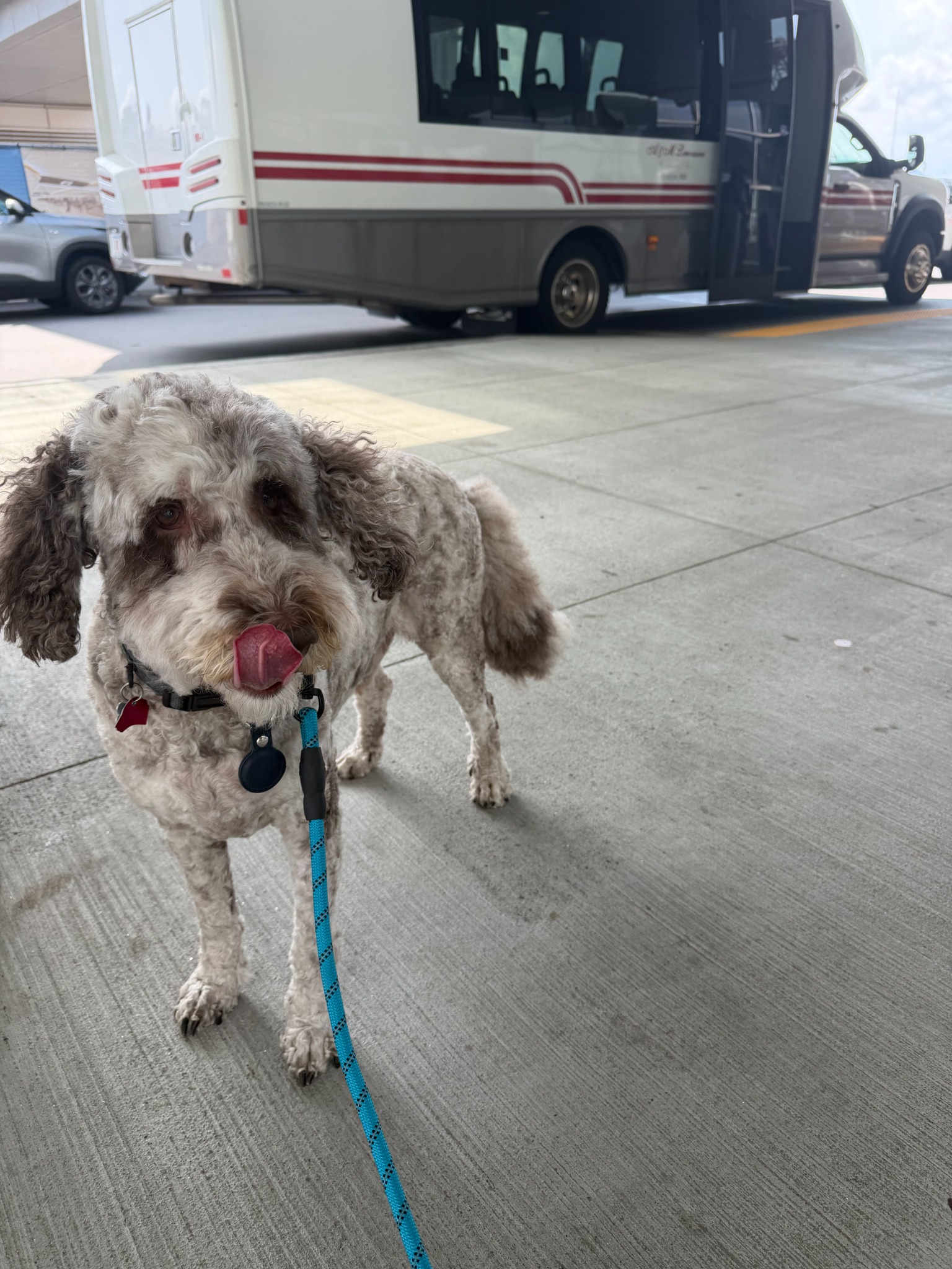 Teddy standing outside Boston Logan Airport before his flight