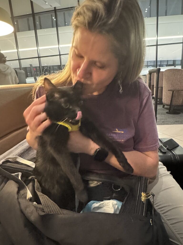 A Cabin Companion comforting one of two black cats in the Delta lounge before their flight from Boston to Paris