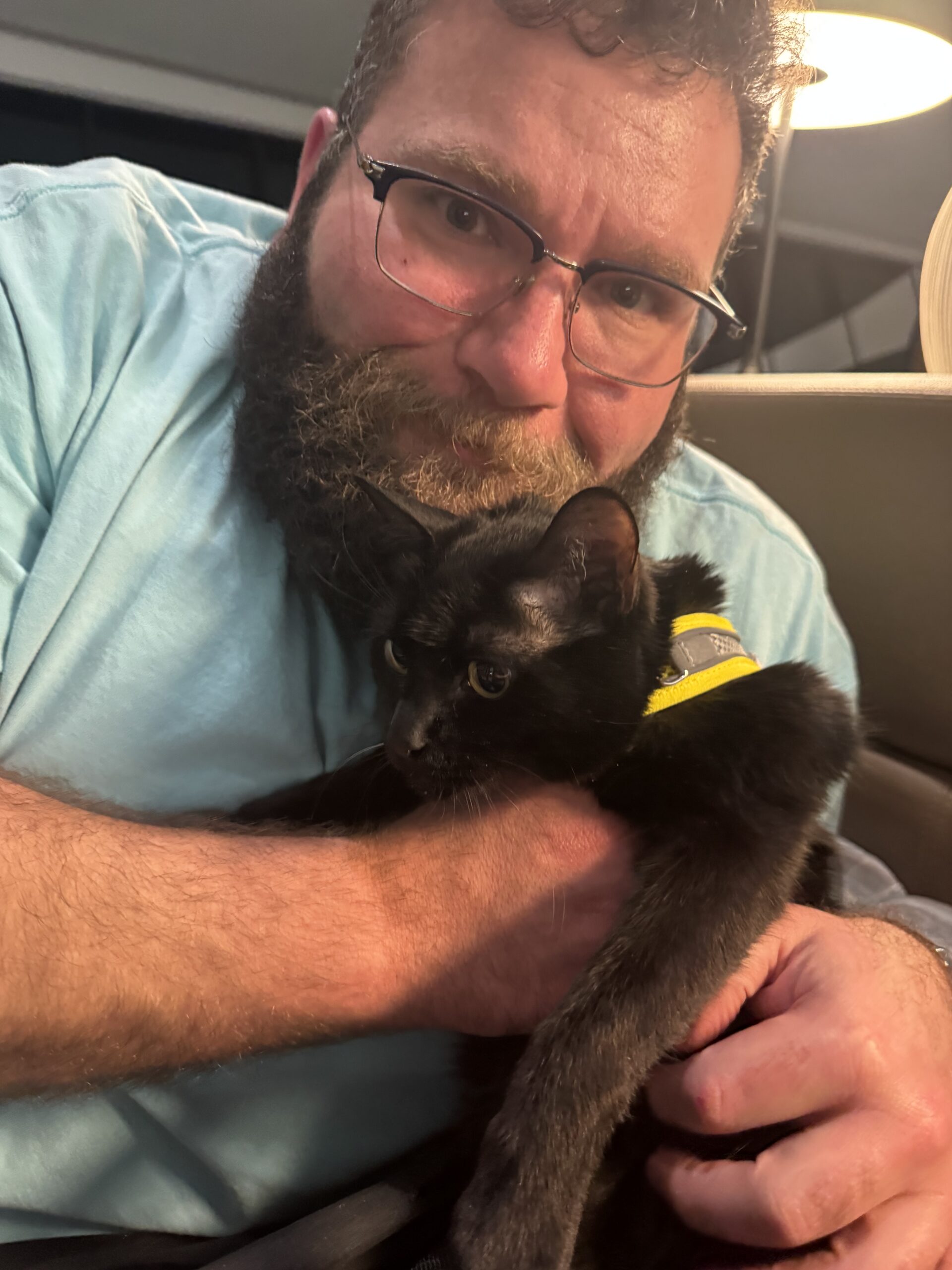 A Cabin Companion cuddling one of two black cats in the Delta lounge before departure for Paris
