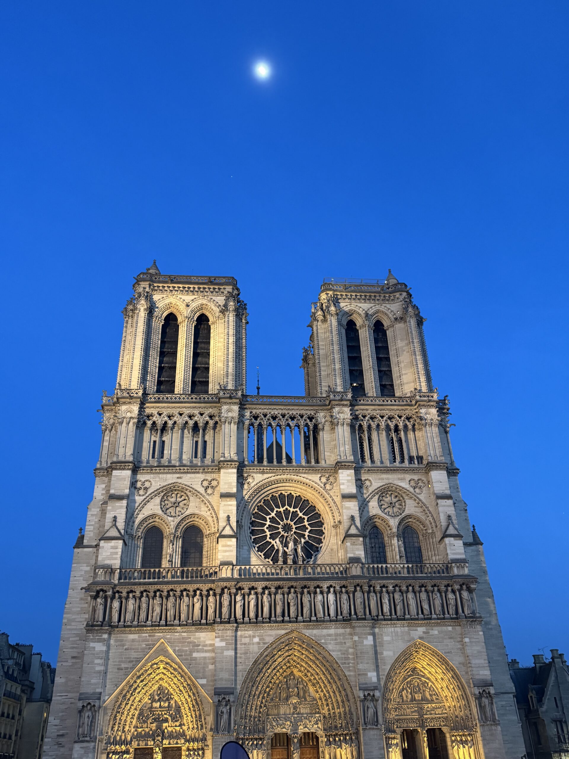 Notre-Dame Cathedral illuminated at night in Paris, France