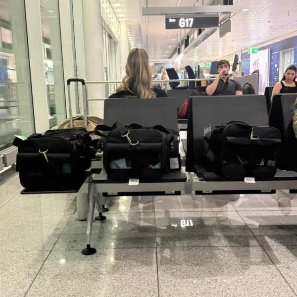 Three soft-sided cat carriers holding Mary, Stella and Oscar at an airport gate during their journey to Bulgaria