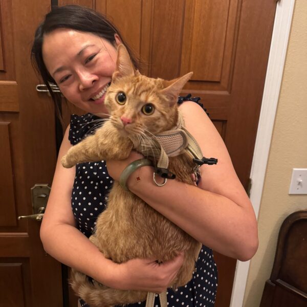 Cashew’s Journey: Durango, Colorado → Los Angeles, California