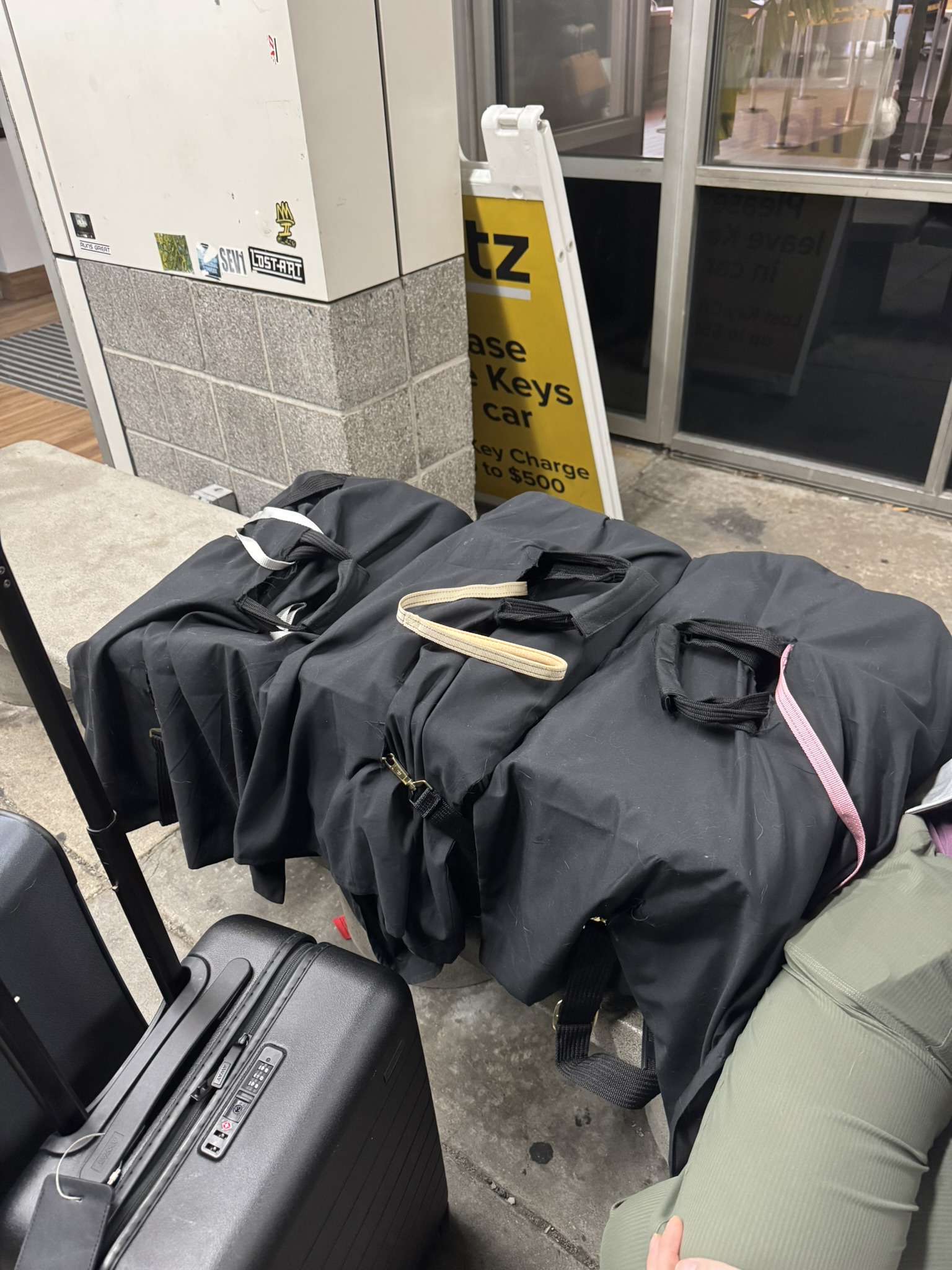 Three covered cat carriers together during the journey from Atlantic City to Cancún