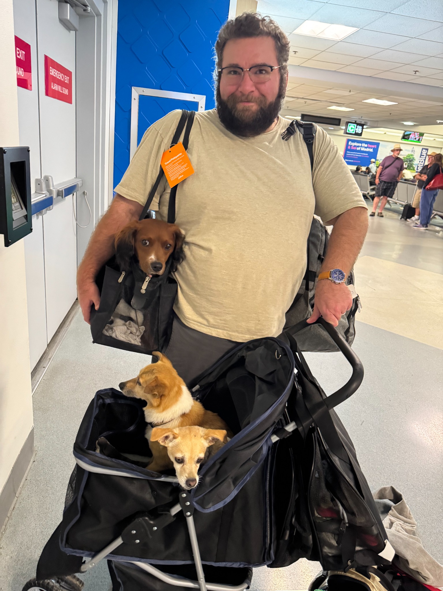 Cabin Companions escort traveling through the airport with Dash and his two dog siblings