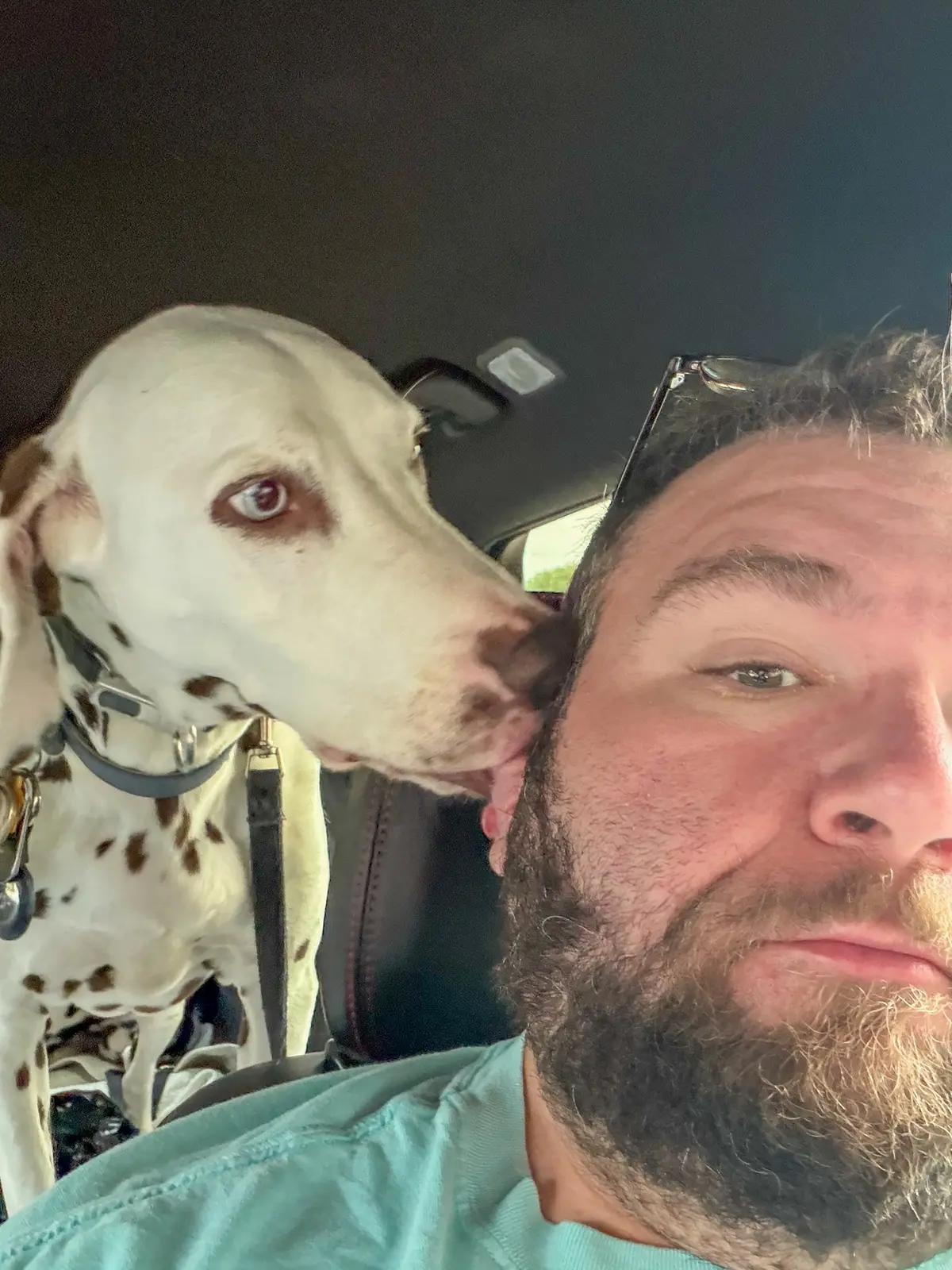 Denver affectionately licking pet travel companion Gabe during their private ground journey