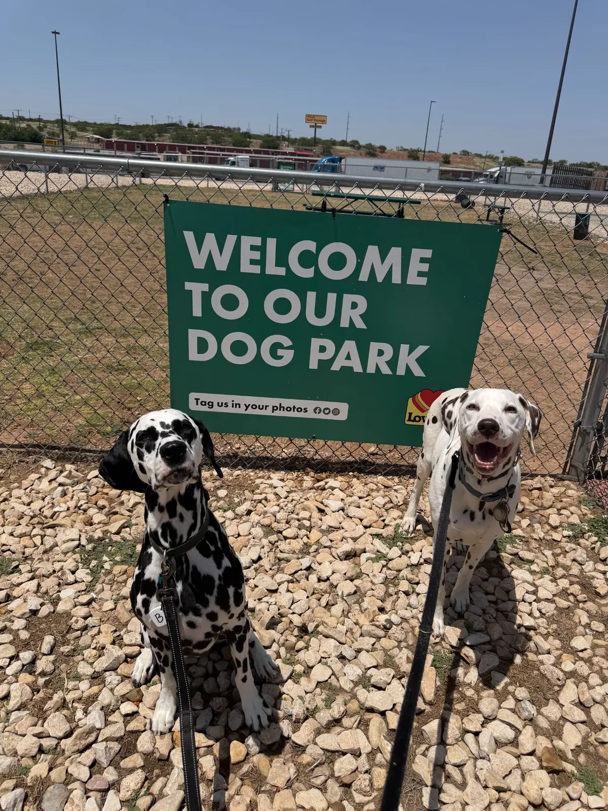 Denver and Walker sitting beside a dog park sign during a planned rest stop on their private ground journey