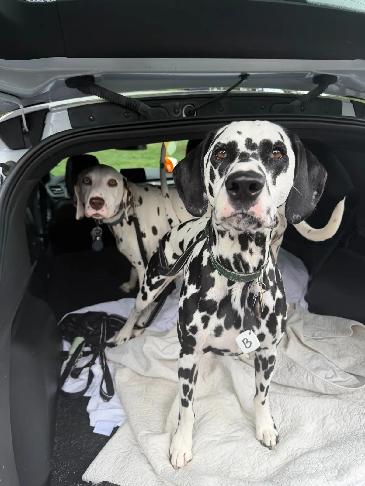 Denver and Walker standing in the back of an SUV prepared for their private cross-country ground journey