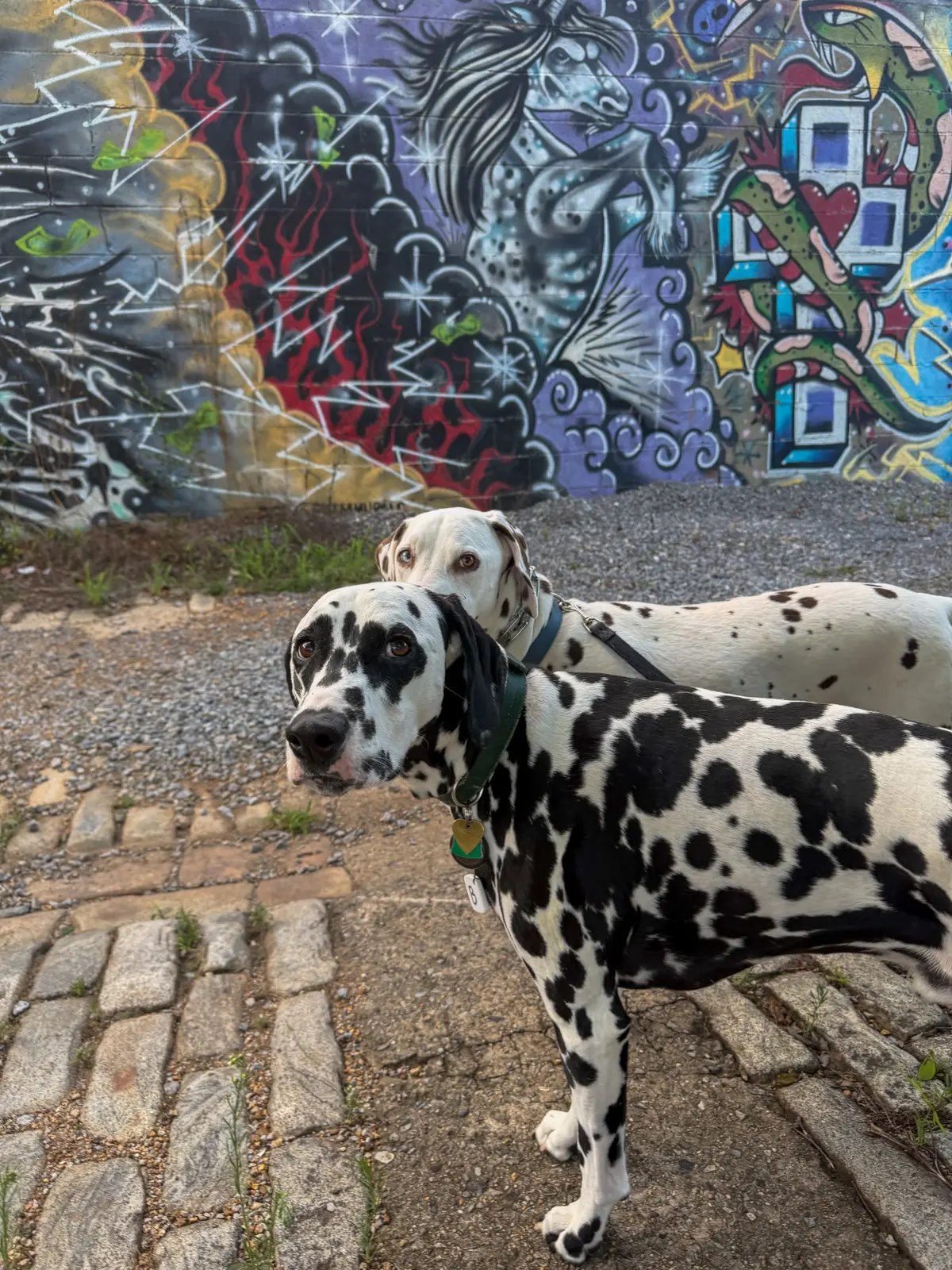 Denver and Walker posing beside a colorful mural during a supervised break on their cross-country journey
