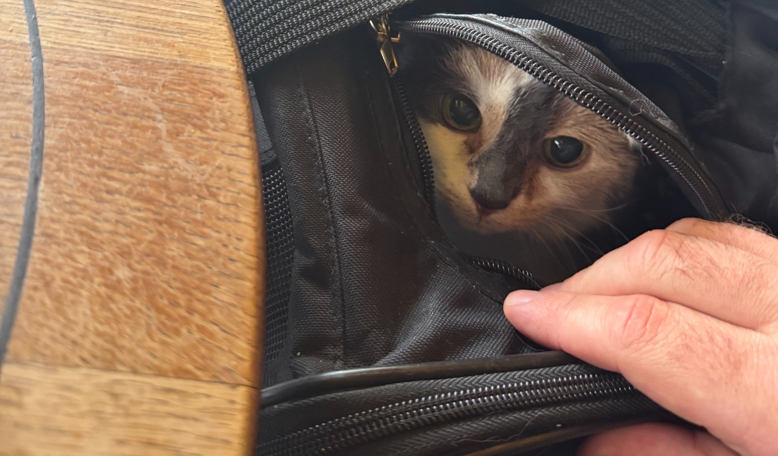 Millie during her international Cabin Companions journey to France