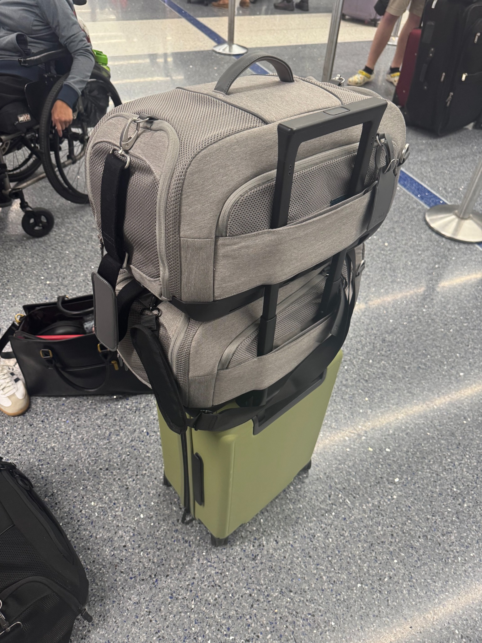 Two of the three cat carriers secured on luggage during airport check-in